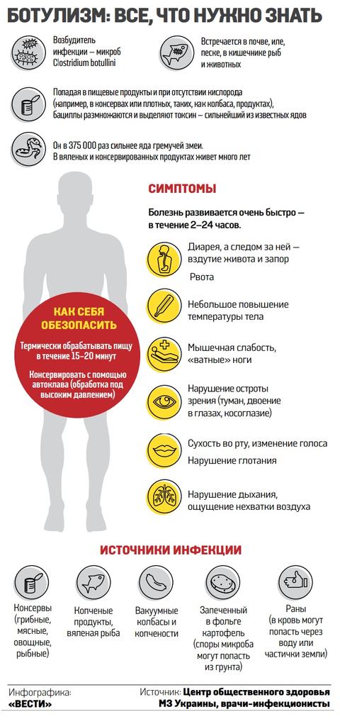 Инфографика