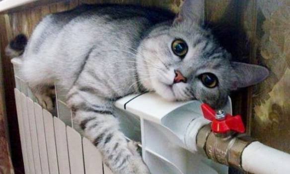 Антифризовое отопление