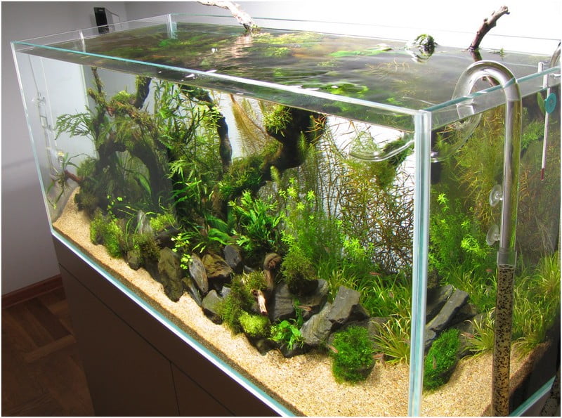 Большой аквариум