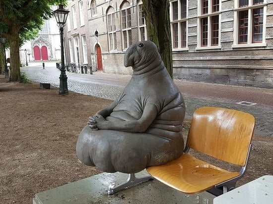 История происхождения мема \"Ждун\