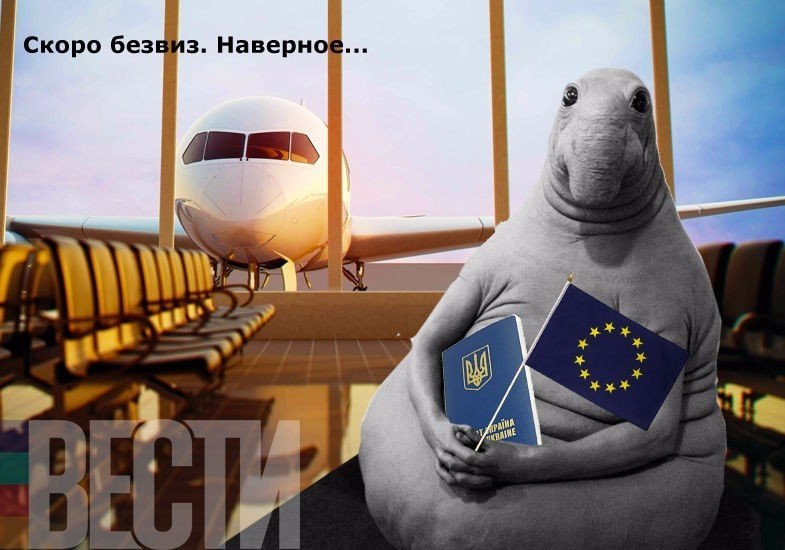 Ждун безвизового режима