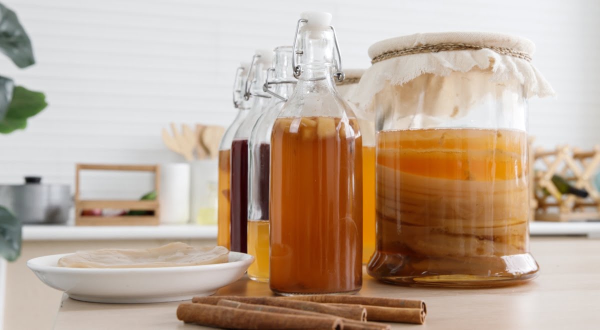 Комбуча или комбуджа подробности о напитке