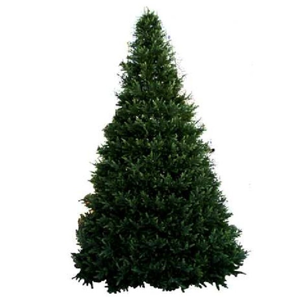 самая дорогая искусственная ёлка