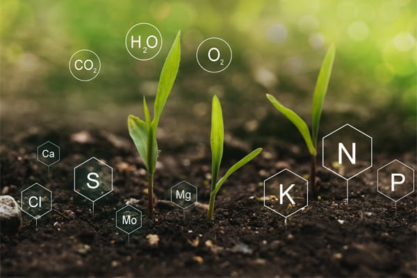 Минеральные удобрения, их виды и применение