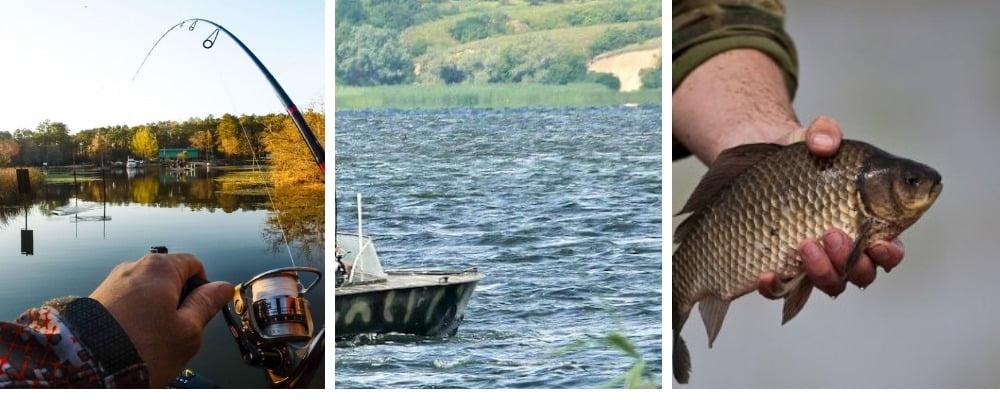 Нерестовый запрет