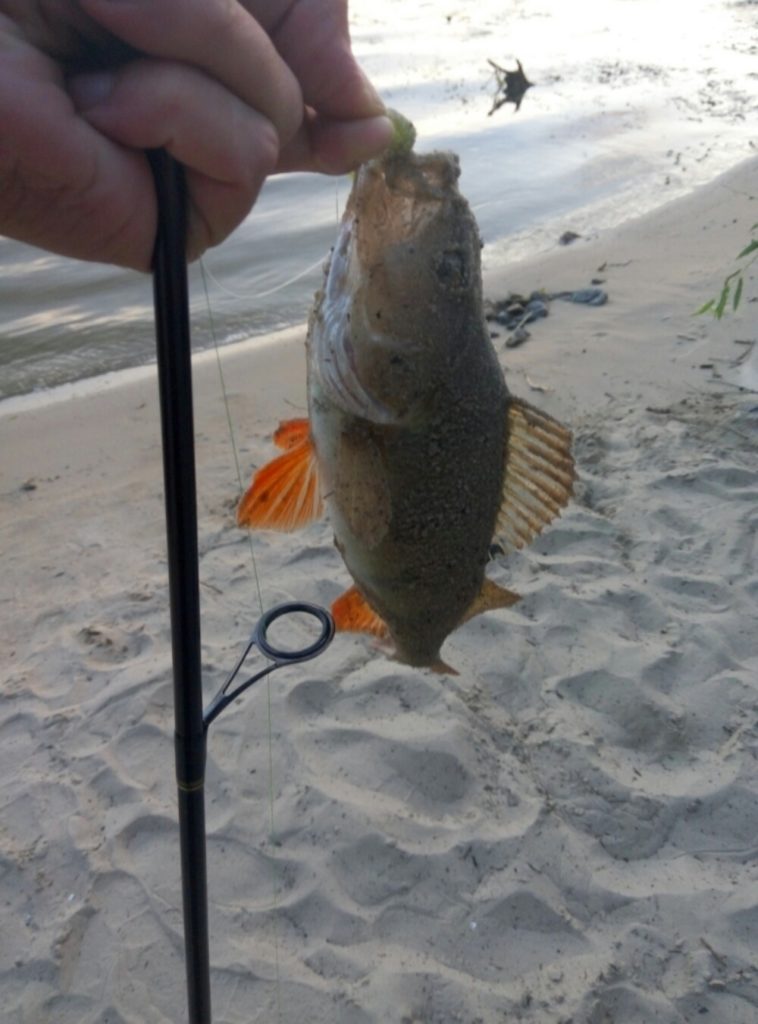 Очередной выход на Днепр