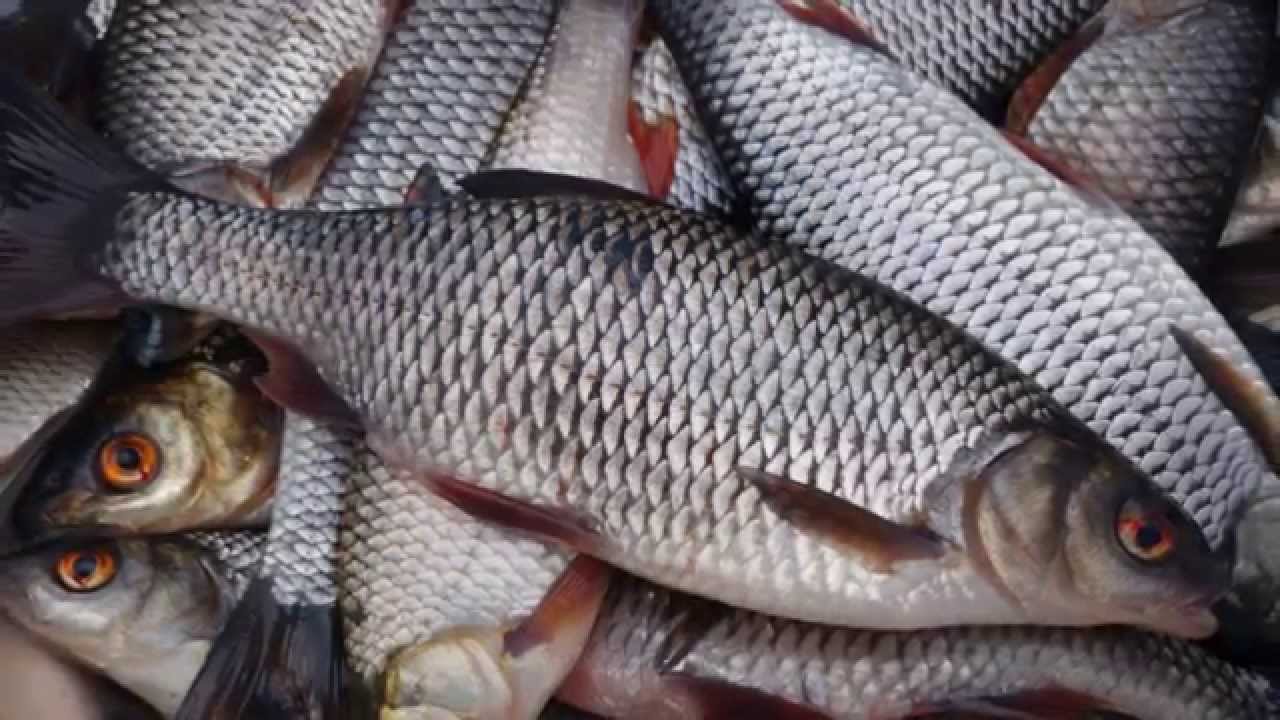 Открытие весеннего сезона 2017