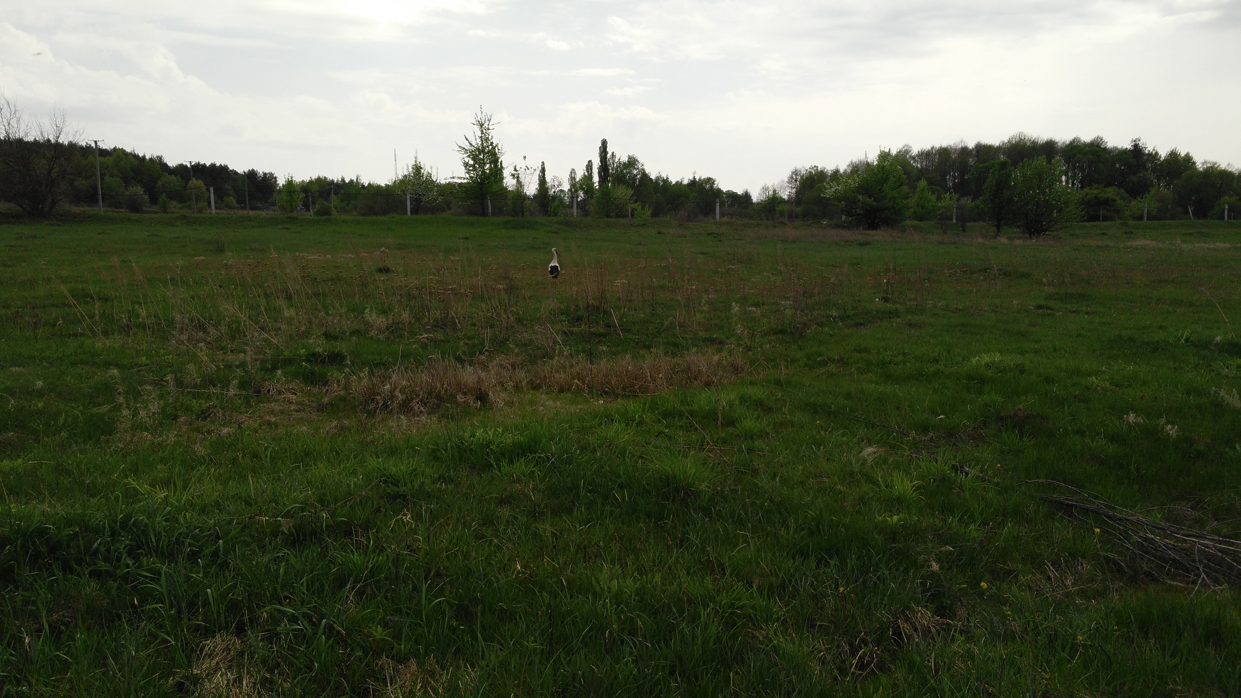 Озеро рыбацкий кордон в селе Ярошовка. Мой отзыв