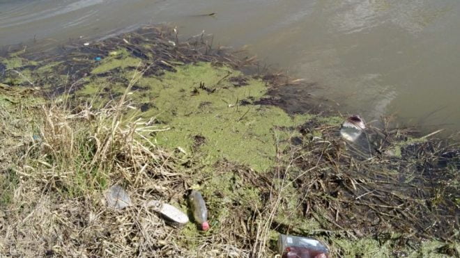 Речка Коник под Киевом погибает 2017 год