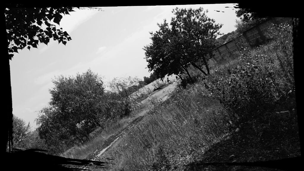 Рыбалка на Жучке летом 2017