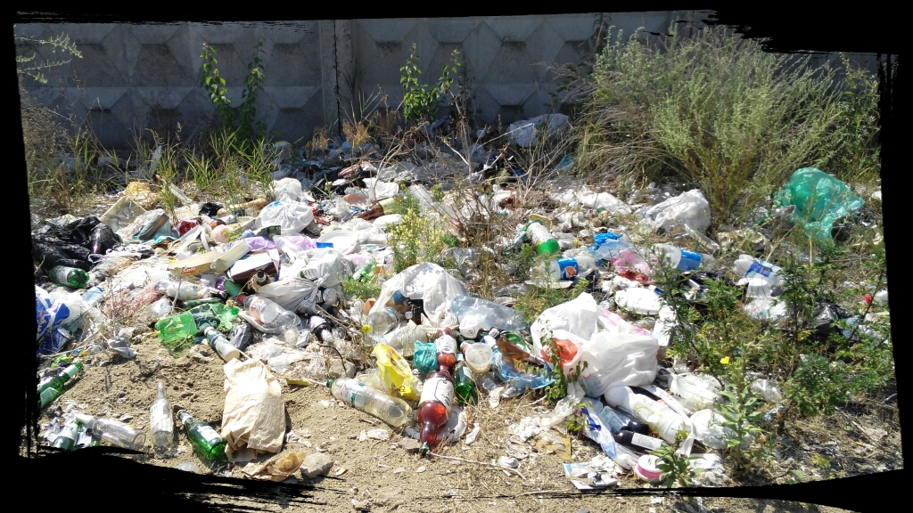 Мусор на берегу Днепра