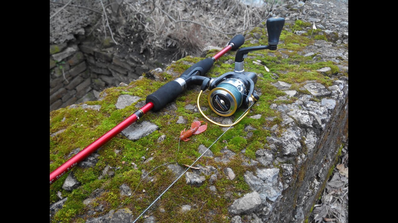 С новой палкой за хищником