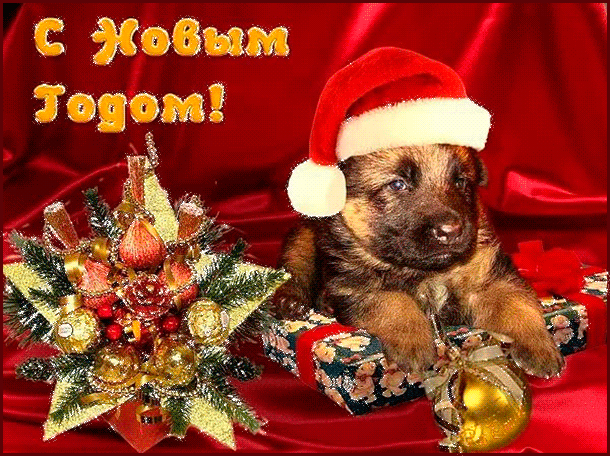 Год жёлтой собаки, поздравительная открытка