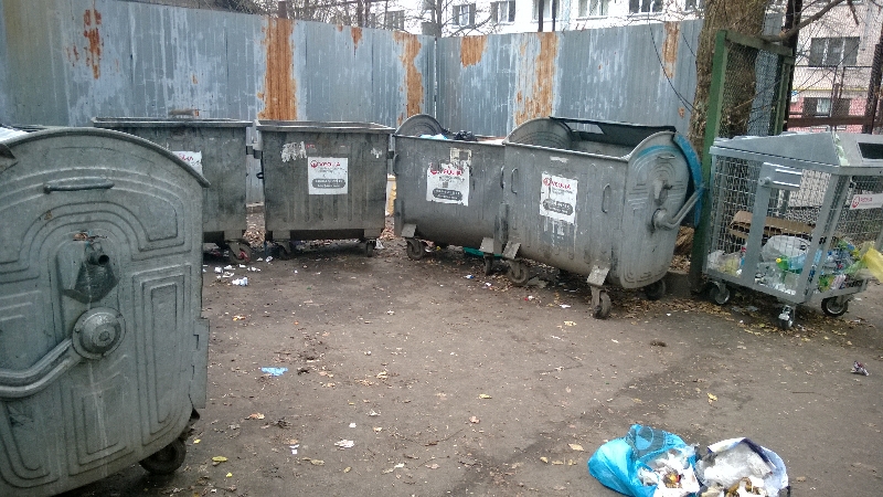 Уличные крысы в Киеве