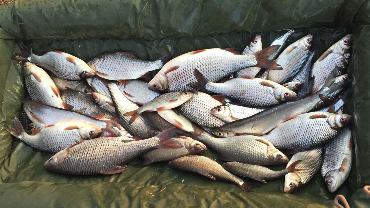 Плова весной - это здорово