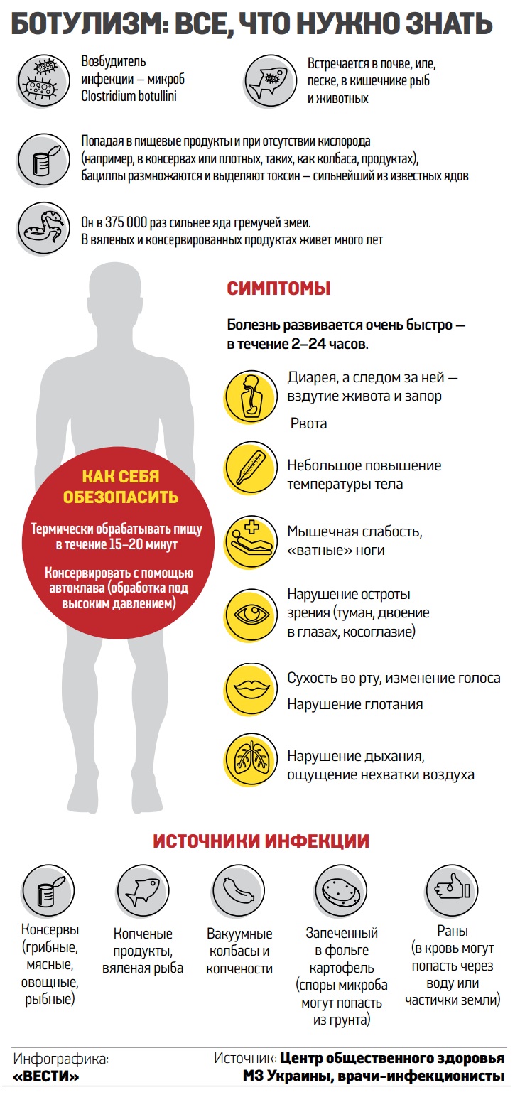 Инфографика