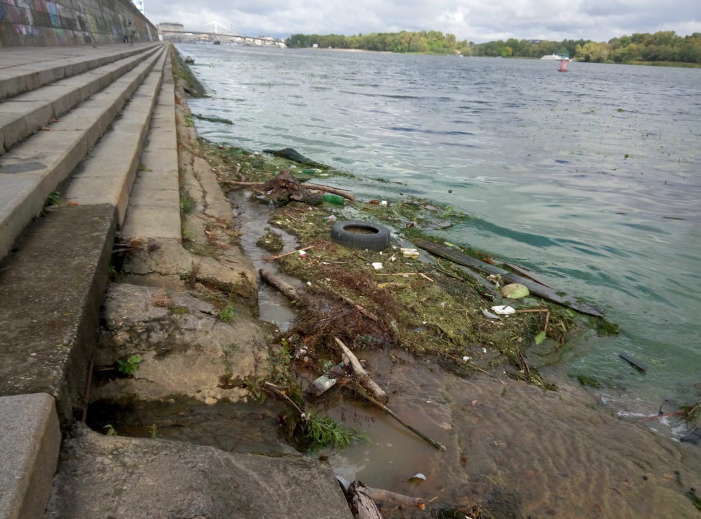 зеленая вода в Днепре и мусор