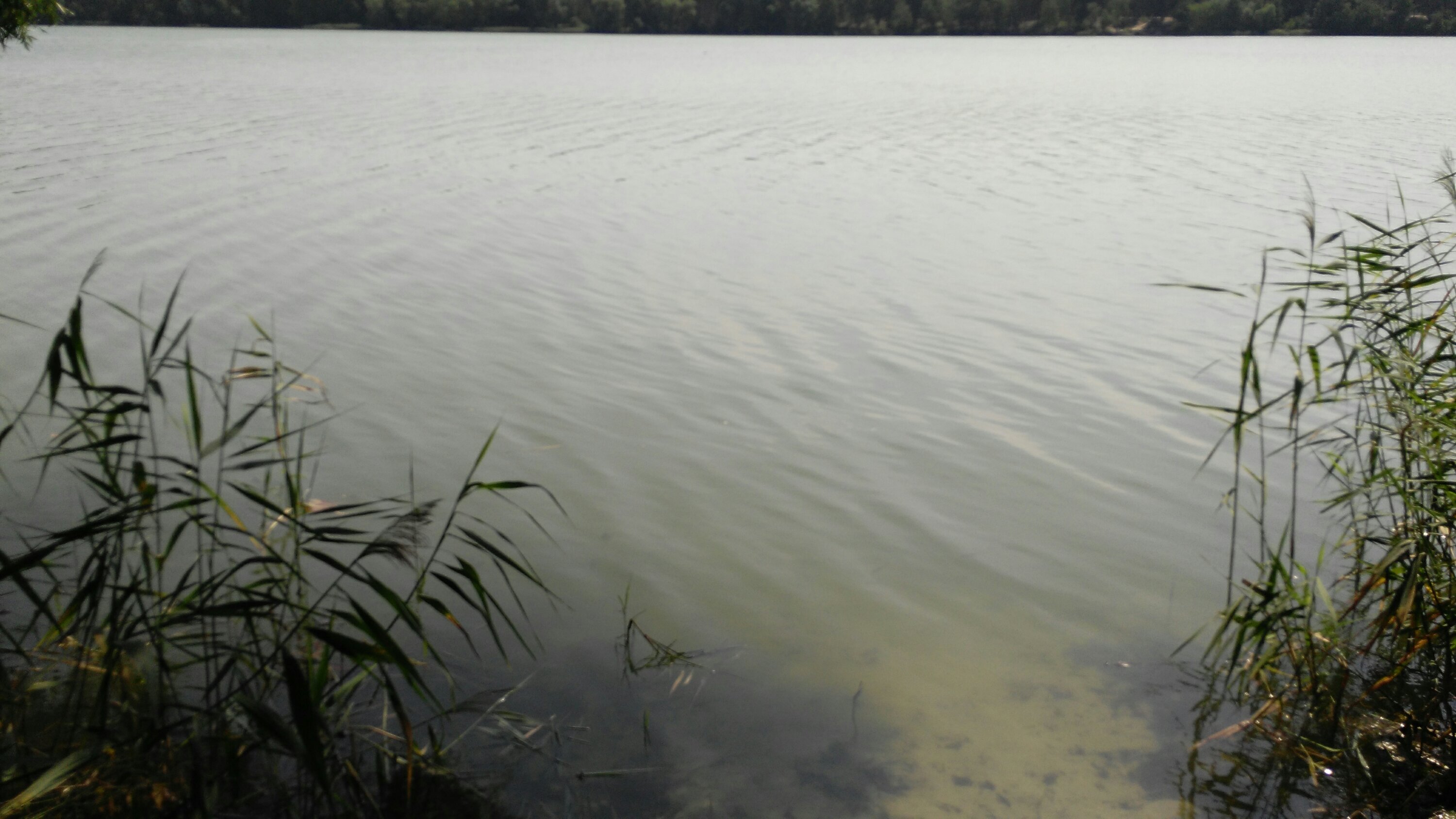 Вода в Алмазном озере на Троещине
