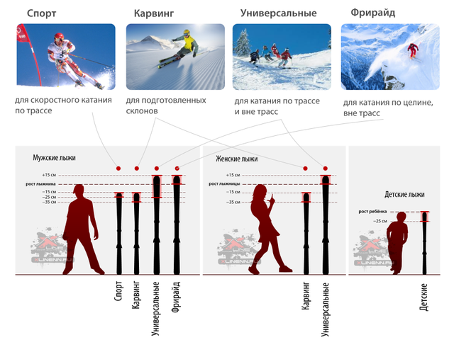 Размеры лыжных палок для женщин и мужчин