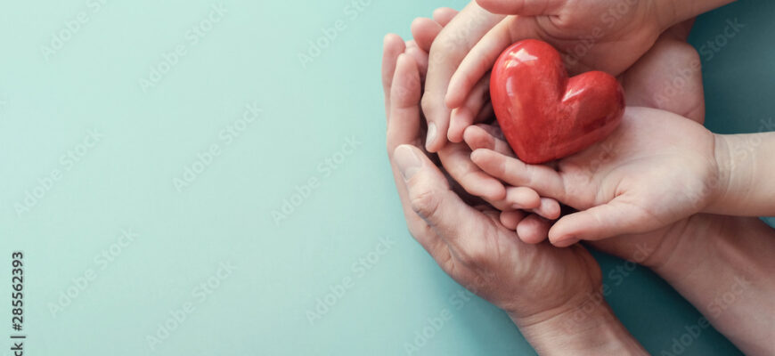 Family hands holding red heart, heart health insurance, charity volunteer donation, CSR responsibility, world heart day, world health day, family day, adoption foster care home, compliment  concept