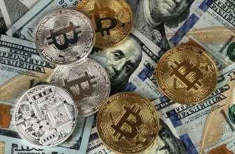 Как автоматизировать криптовалютные инвестиции?